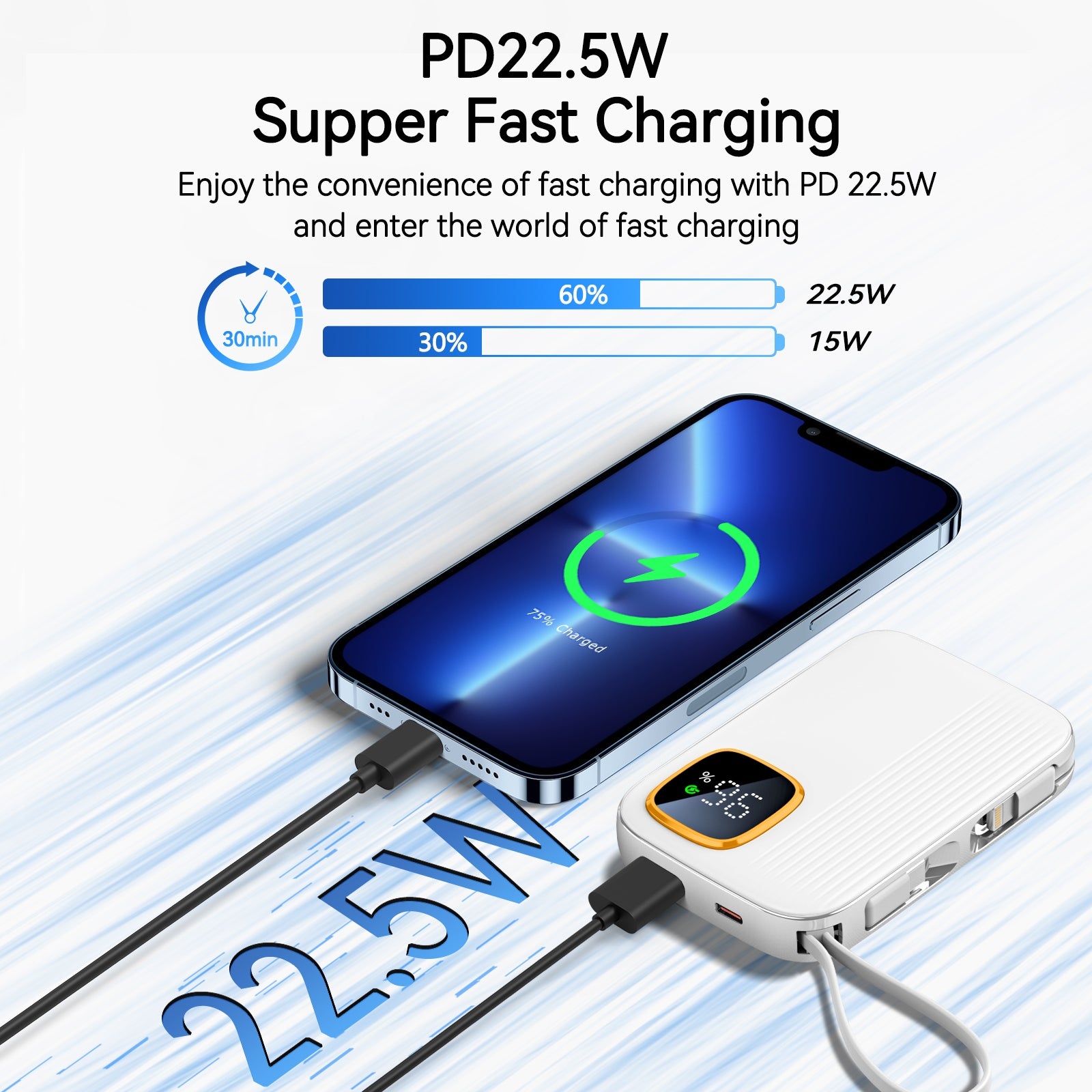 10000MAH POWER BANK WITH TWO BUILT IN CABLES USB-C/LIGHTNING OUTPUT FAST EAN (GTIN) 755113699688