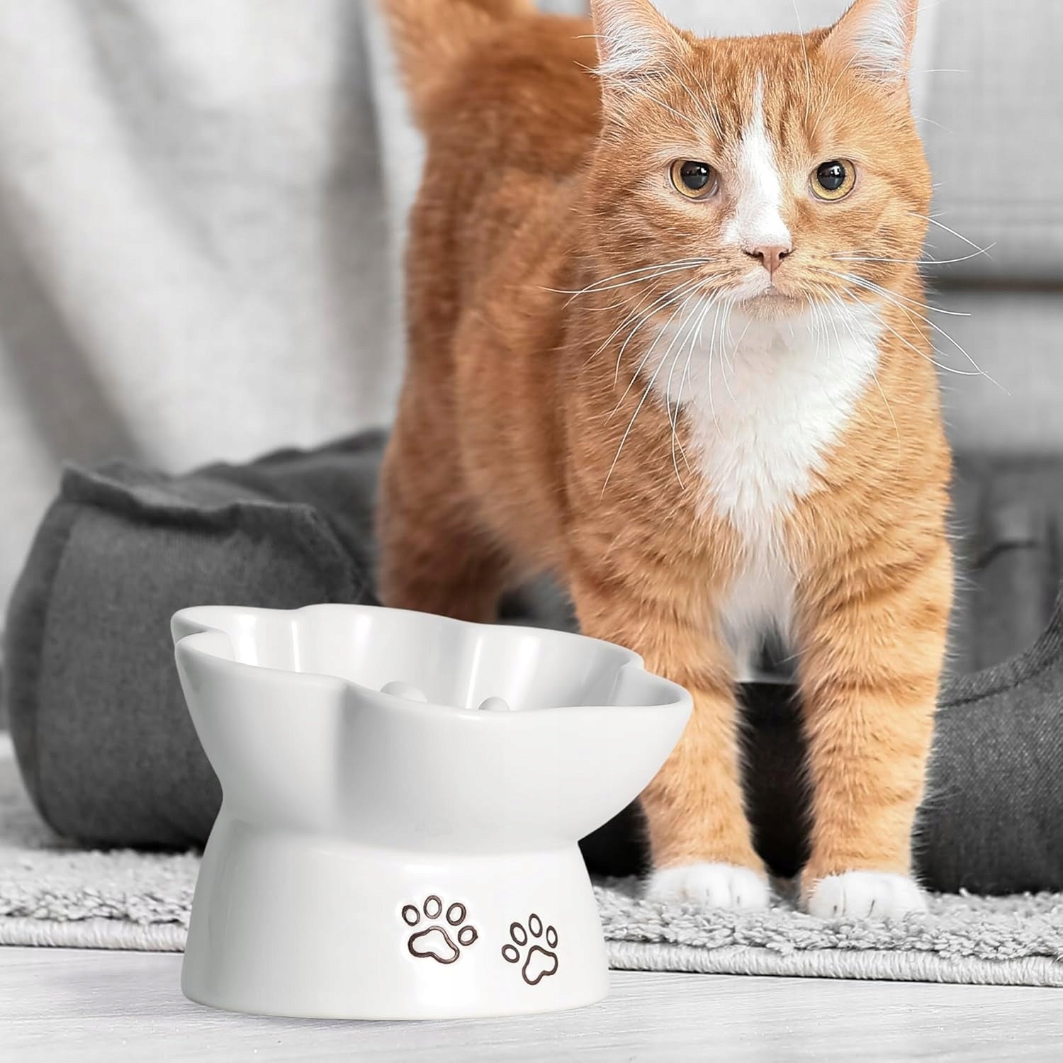2 in 1 Bowl Inclined and Slowing Food for Cat Dog Ceramic Manufacturer code B0D17MN7W3