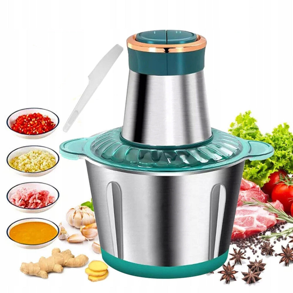 2L 300W 2 SPEED ELECTRIC MEAT GRINDER FOR FRUIT AND VEGETABLES Brand no brand