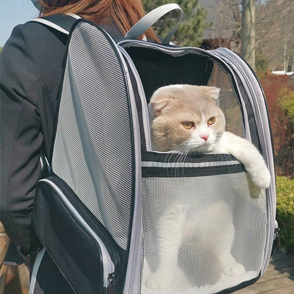 2X CAT AND DOG BACKPACK TRANSPORT FOLDING TRAVEL UP TO 10 KG Brand no brand