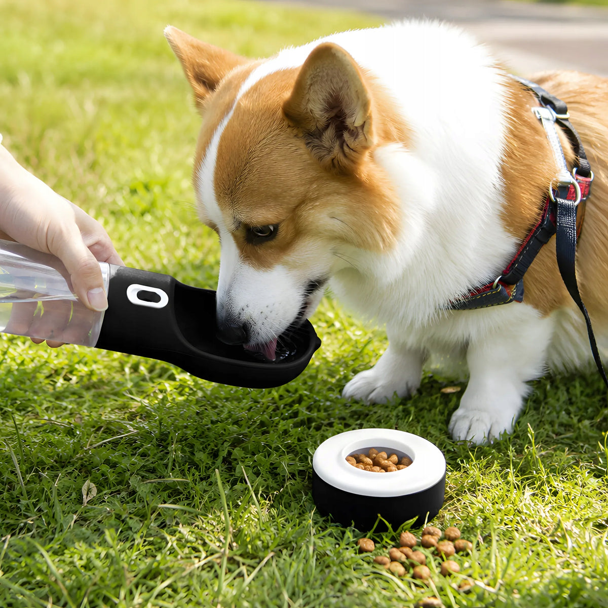 3IN1 DOG WATER BOTTLE DRINKER BOWL WATER FOOD AUTO TRAVEL WALK SUMMER 0,3L Manufacturer code ze schowkiem na karmę dozownik wody
