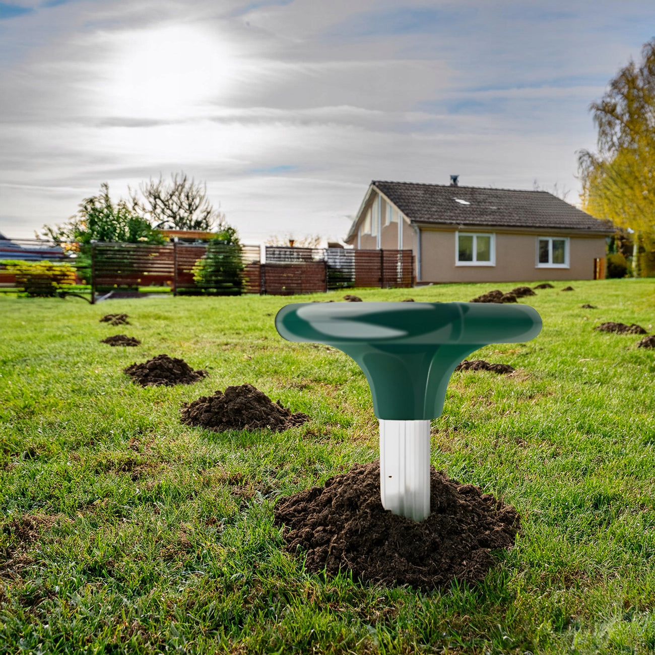 4X STRONG DETERRENT FOR MOLES VOLES MARTENS SOLAR RODENTS 3400m² Use Against moles martens