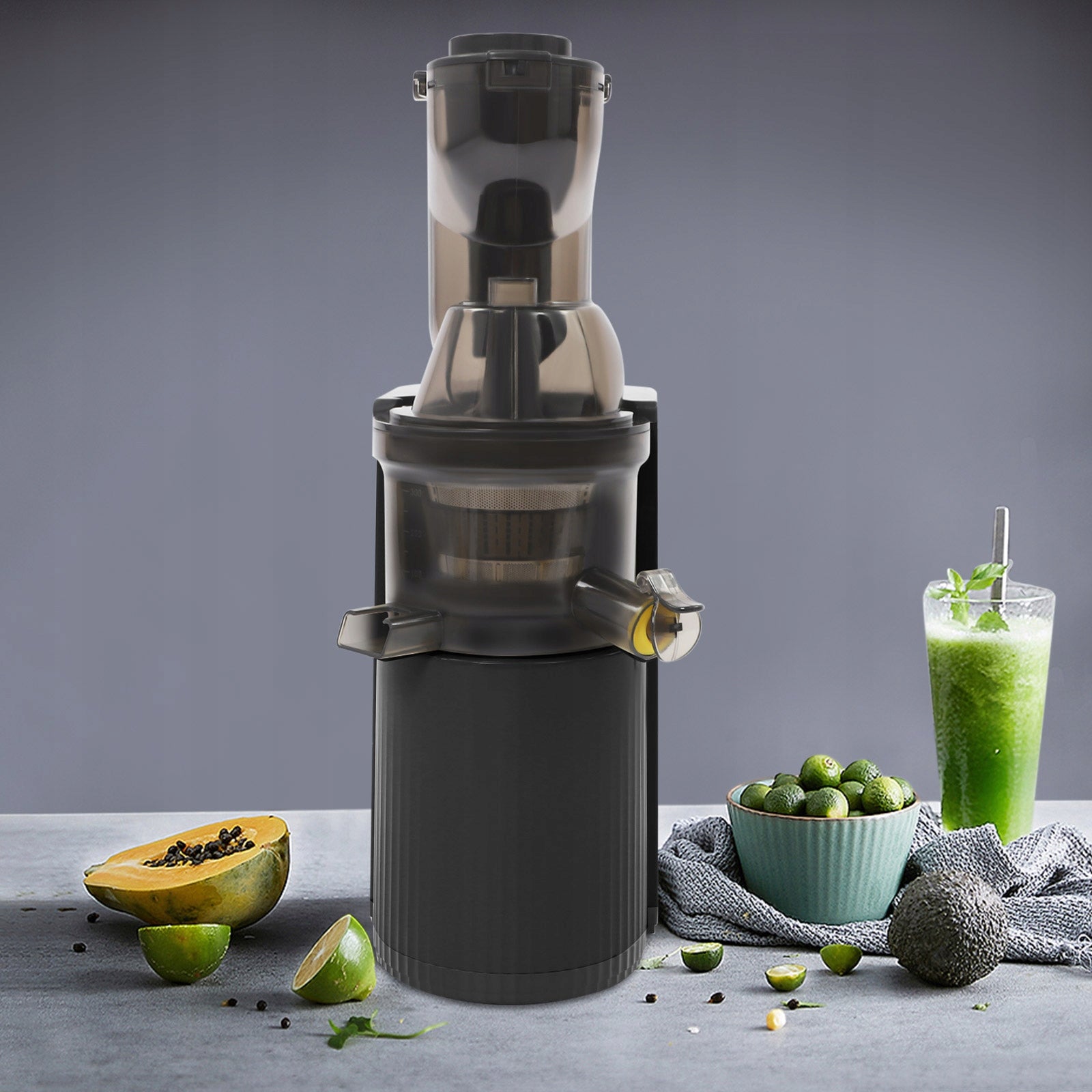 500ml Quiet Juicer Vegetable and Fruit Juicer Spiral Cold Press Juicer 800w Manufacturer code dsf241652v