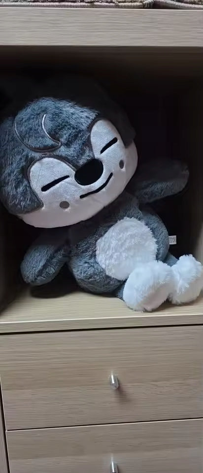 50cm Large Plush Toy Skzoo Wolfchan Animal huilang Manufacturer code huilang