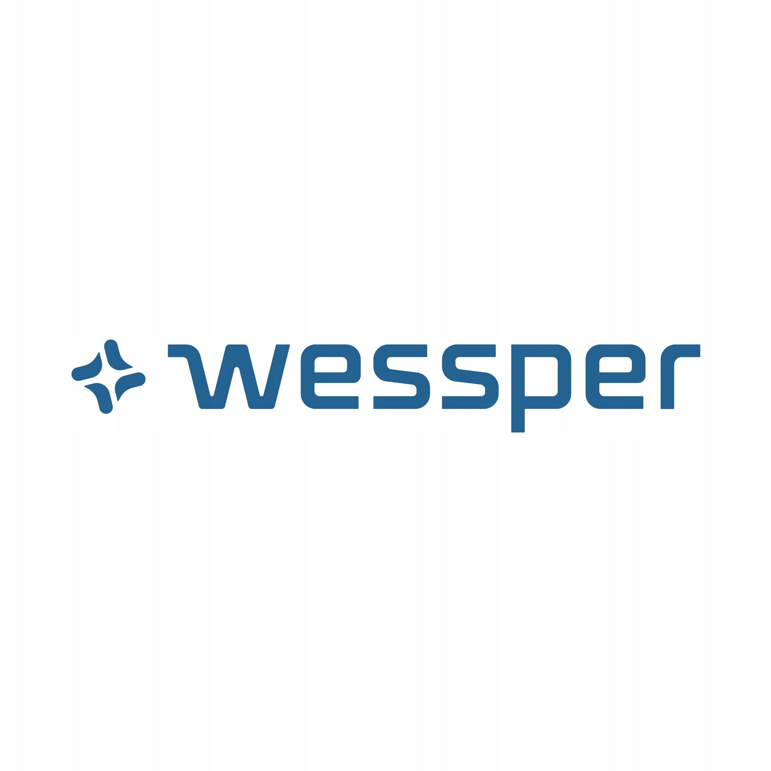 5x Filter disc Wessper Actitex Disc replacement for Brita carafe bottles EAN (GTIN) 5902668013345