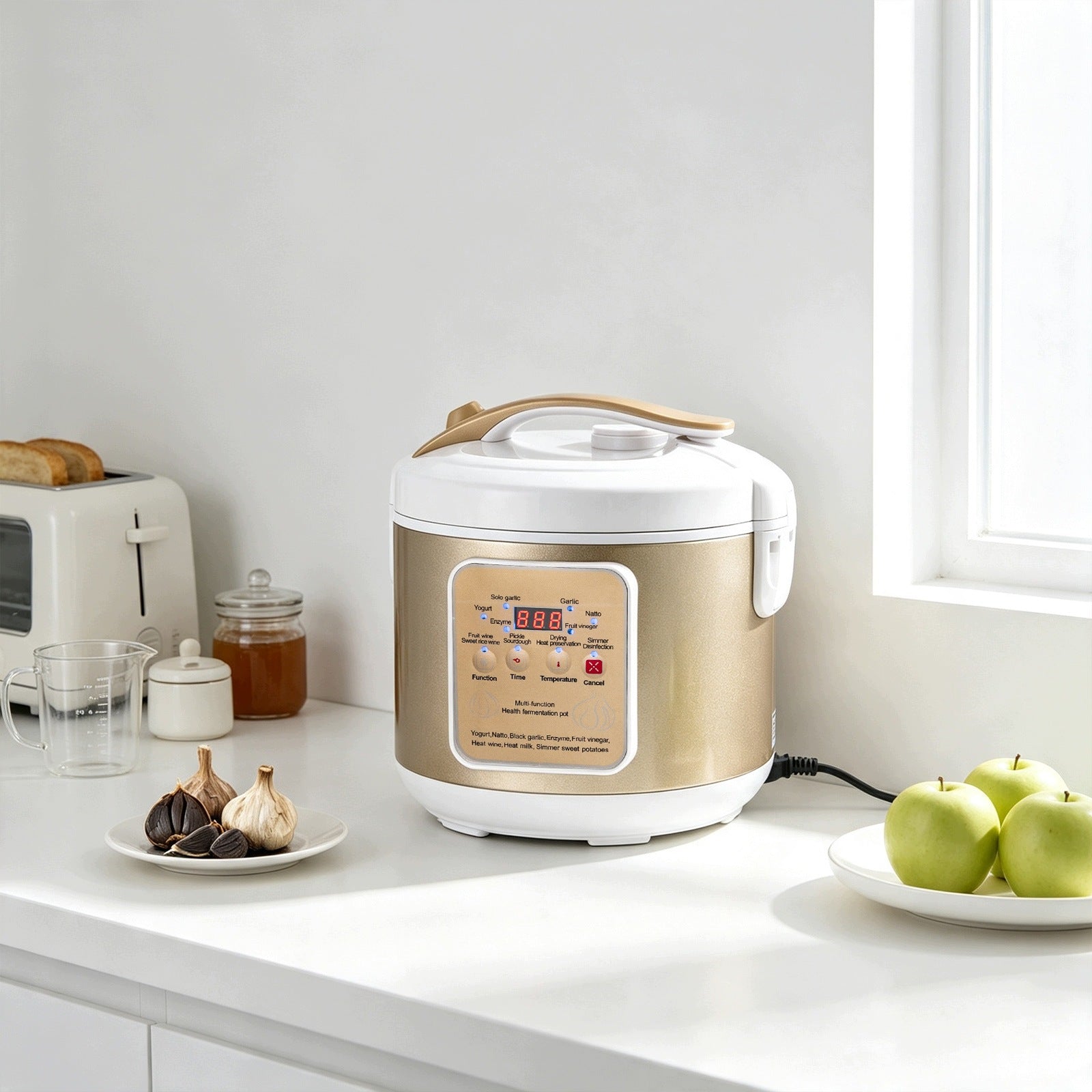 6L BLACK GARLIC FERMENTER (ENGLISH CONTROL PANEL) EUROPEAN STANDARD Packaging status original