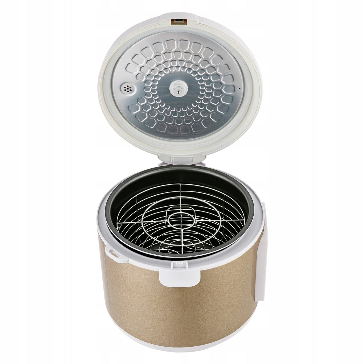 6L BLACK GARLIC FERMENTER FULL AUTOMATIC INTELLIGENT CONTROL FERMENTER 90W