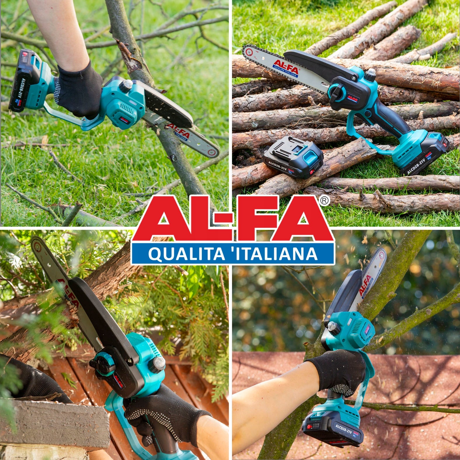 8" CORDLESS SAW for branches TELESCOPIC BOOM 250cm set EAN (GTIN) 5901122719731