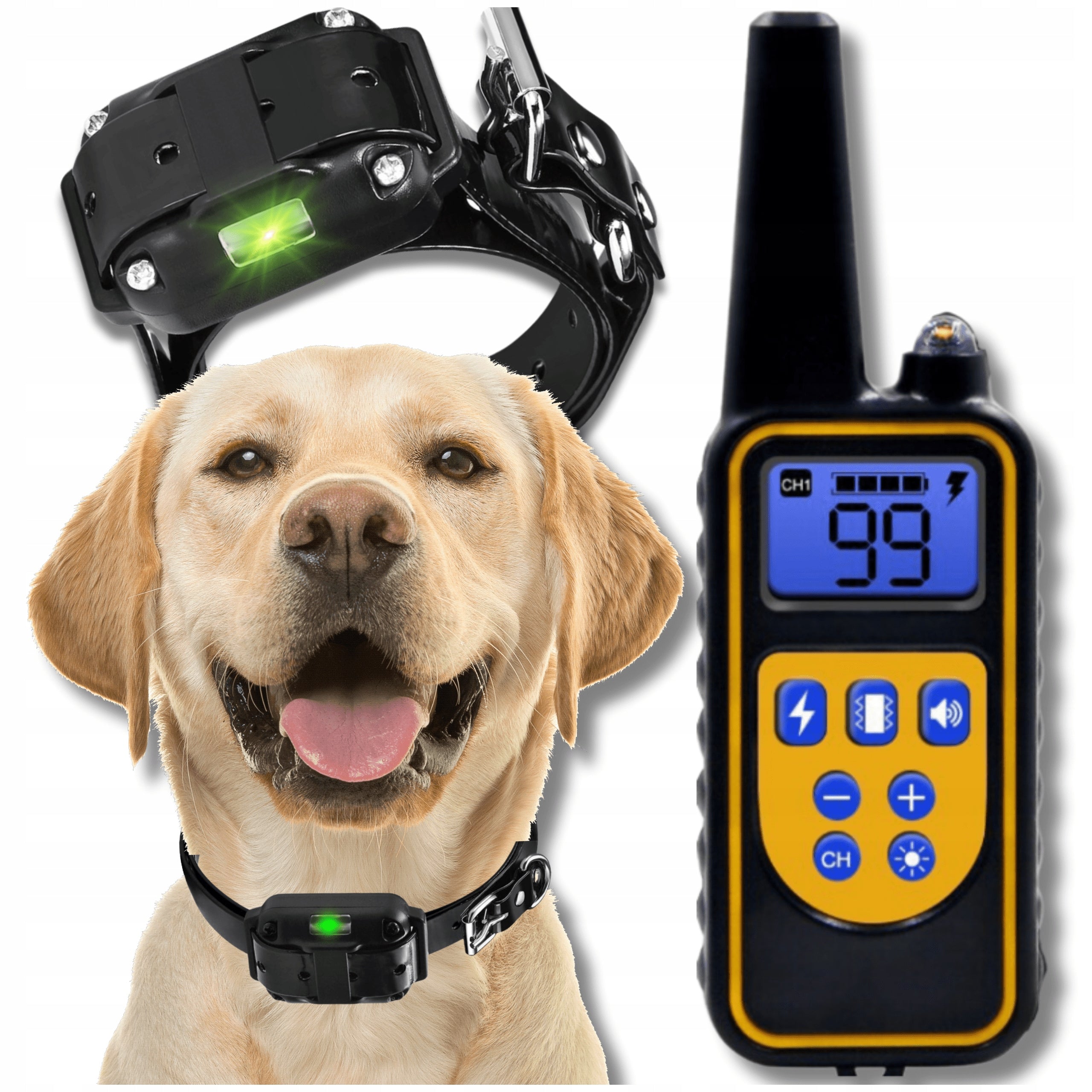 800M Remote Electric Dog Training Collar for Small and Large Dogs