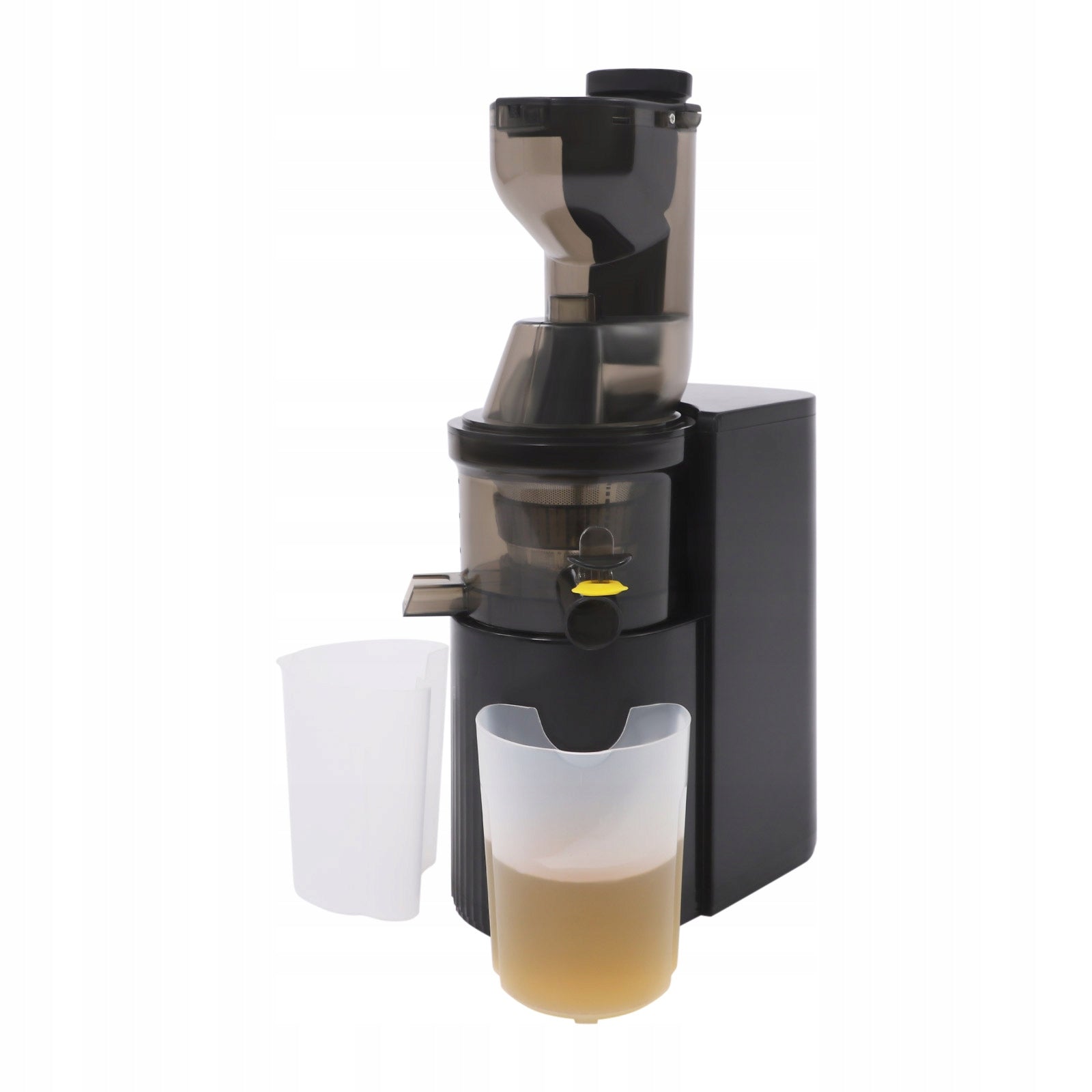 800W 48RPM Black Cold Press Professional Slow Masticating Juicer 500ML