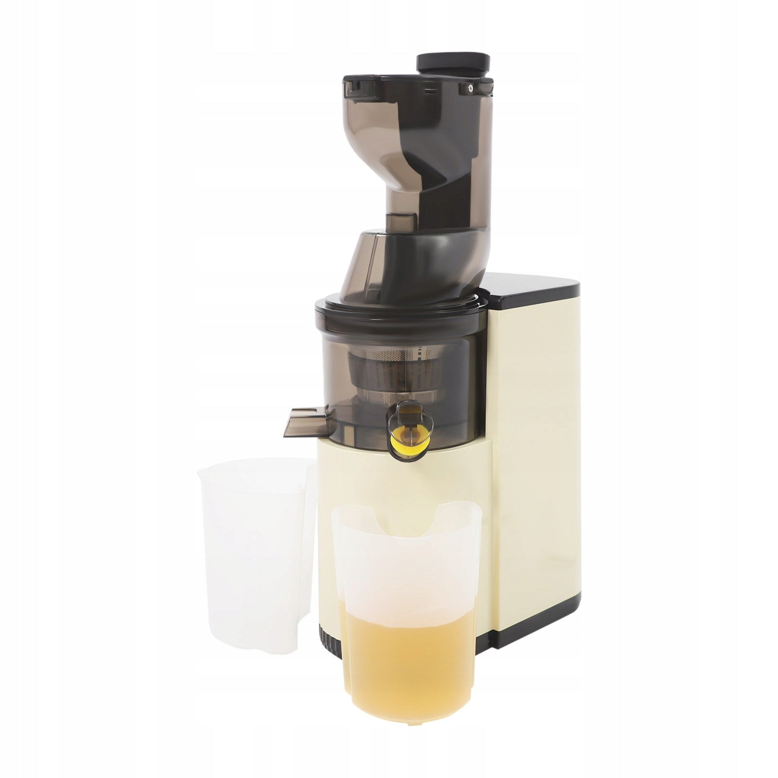 800W 48RPM White Cold Press Professional Slow Masticating Juicer 500ML