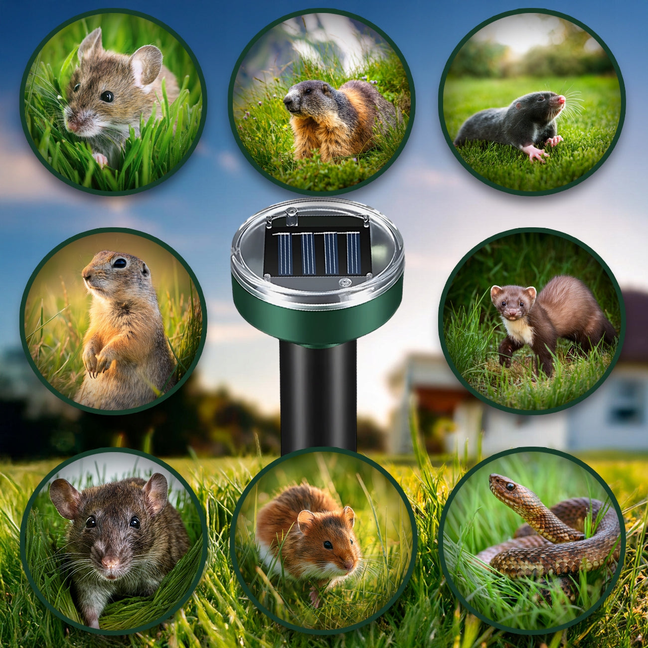 8X STRONG MOLE REPELLENT MICE VOLES MARTENS SOLAR RODENTS 6800m² Certificates of conformity CE
