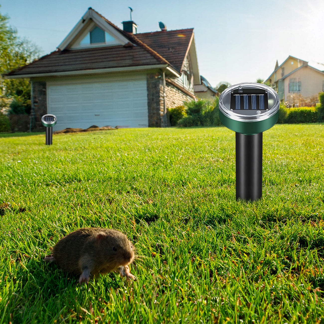 8X STRONG MOLE REPELLENT MICE VOLES MARTENS SOLAR RODENTS 6800m² Kind repellent