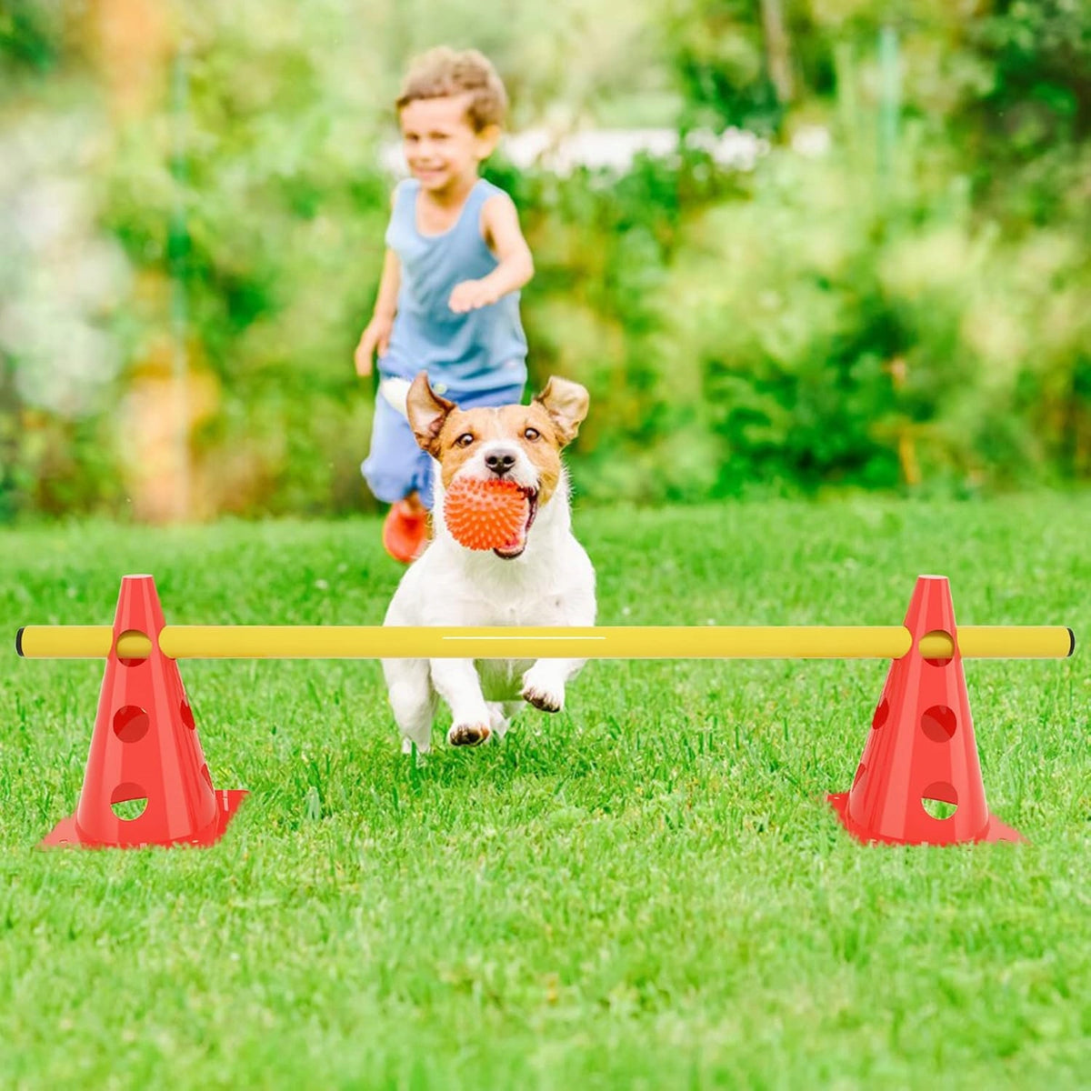 AGILITY SET FOR DOG TRAINING HURDLES ATHLETICS EQUESTRIAN HANDBALL Manufacturer code Tor Przeszkód Pachołki Trening PSA