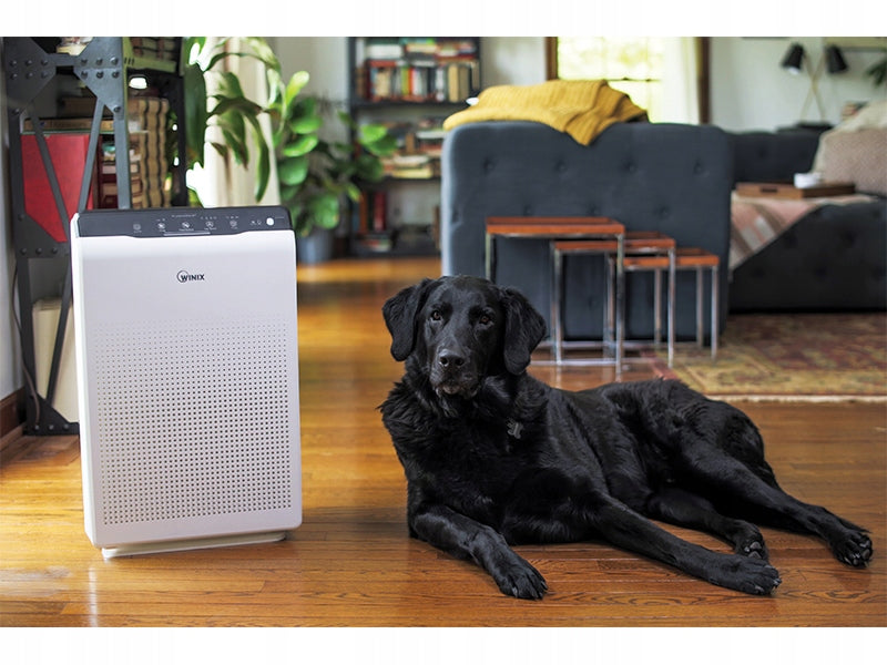 AIR PURIFIER CADR 390M3 H HEPA H13 TO 99M2 VIRUSES ALLERGIES WINIX Power 70 W
