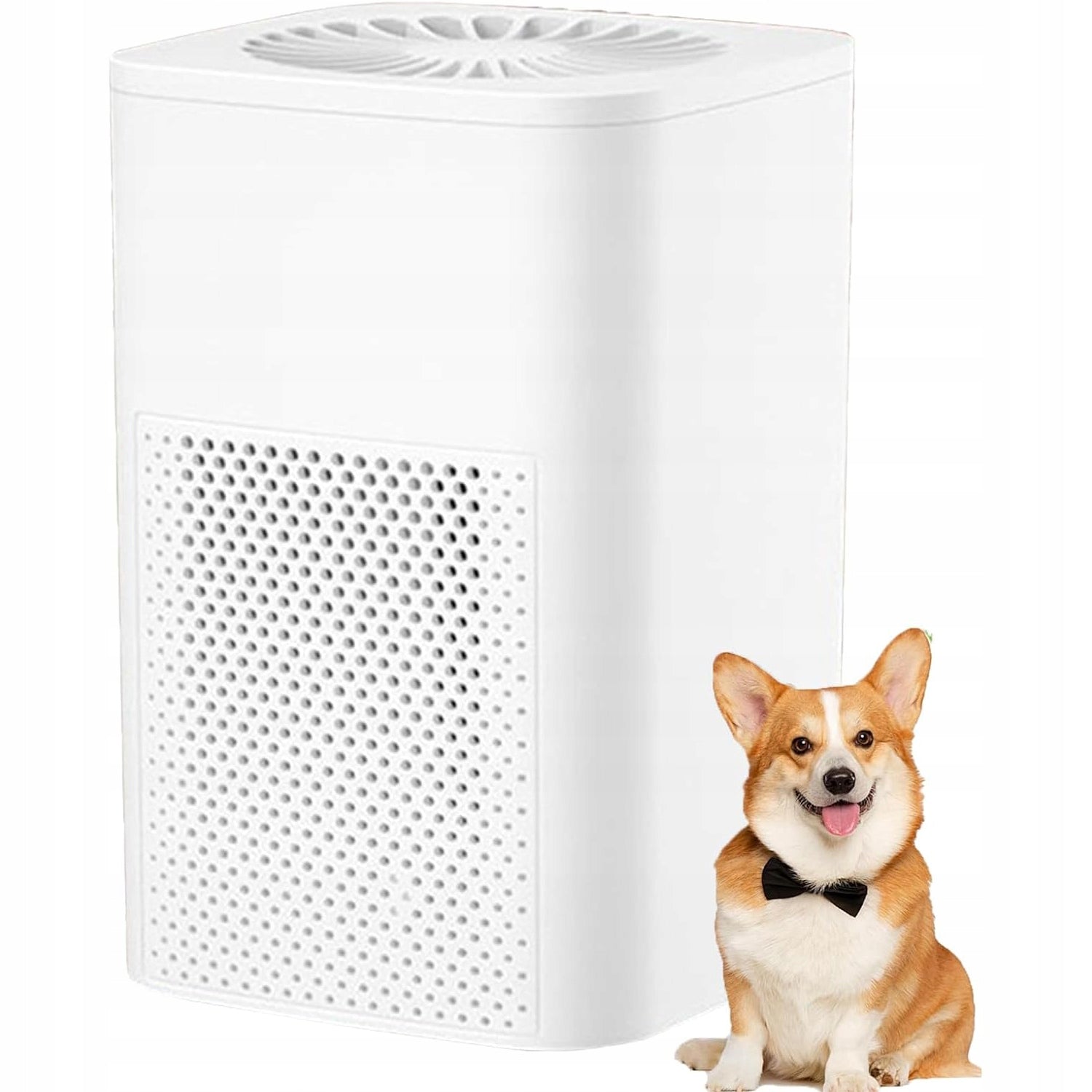 AIR PURIFIER IONIZATION FOR ALLERGY SUFFERERS PURIFIER IONIZER 360 °