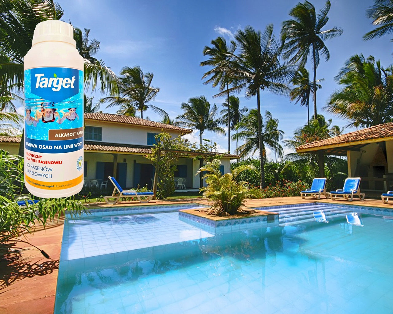 ALKASOL RAND REMOVES SEDIMENTS ON THE WATER LINE 1L TARGET POOL CHEMISTRY FOR POOL Packaging status original
