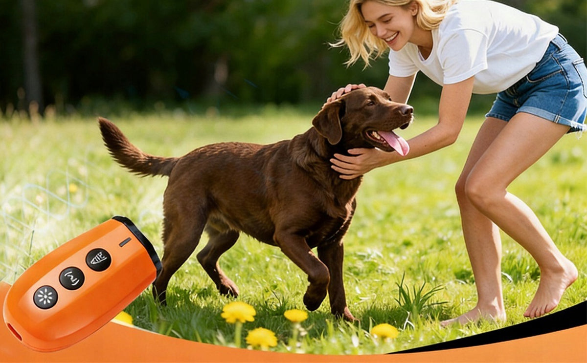 ANTI-BARKING DEVICE DOG ULTRASONIC CHARGING USB-C Manufacturer code 659814341993