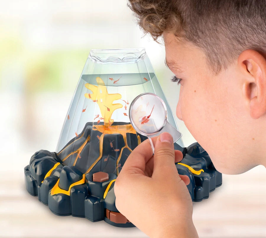 AQUA DRAGONS VOLCANO UNDERWATER WORLD WATER DRAGONS AQUARIUM EDUCATIONAL TOY Kind biology kits