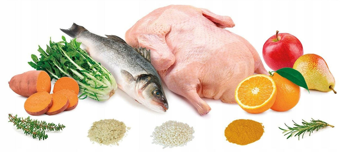 ARQUIVET FRESH Semi-moist dog food DUCK AND OCEAN FISH 10kg Manufacturer code 8435117892354