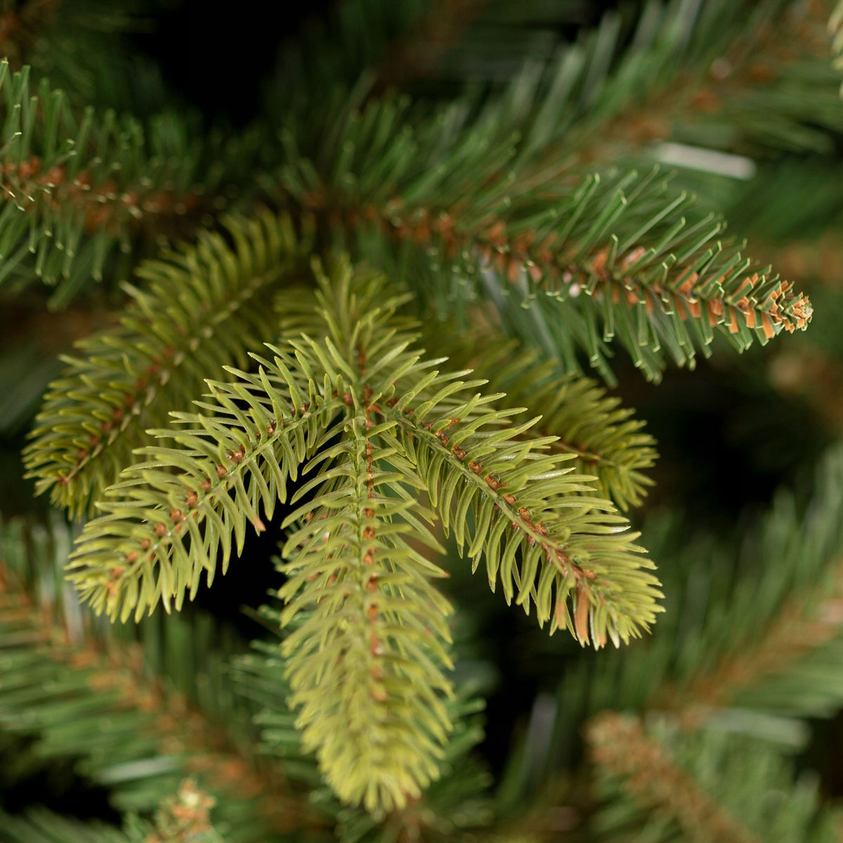 ARTIFICIAL CHRISTMAS TREE PE 220 cm ITALIAN SPRUCE CAUCASIAN LIKE A LIVING PREMIUM DENSE Brand Springos