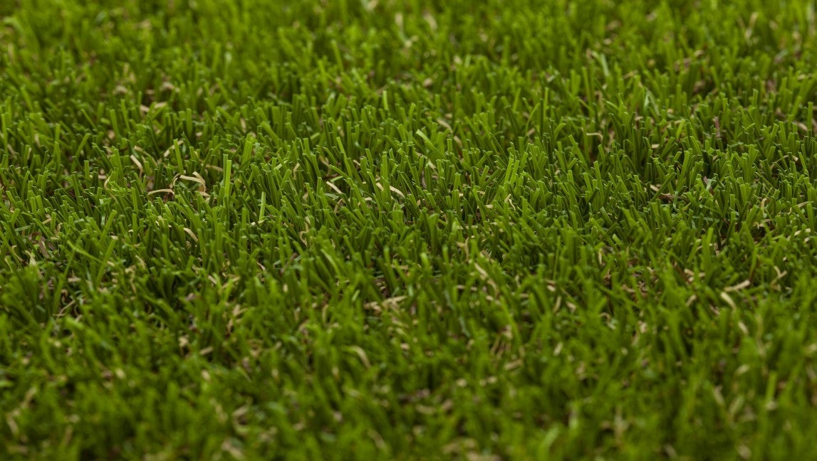 ARTIFICIAL GRASS ELITE THICK PREMIUM 4,2CM Color green