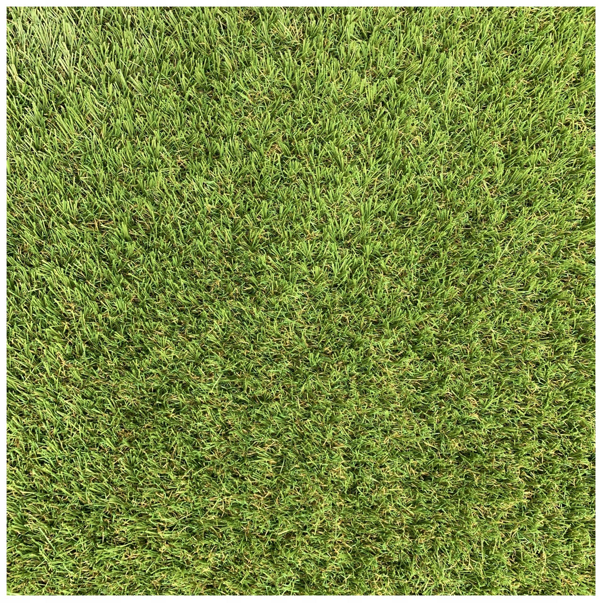 ARTIFICIAL GRASS HAVANNA 4M GARDEN EAGLE BALCONY