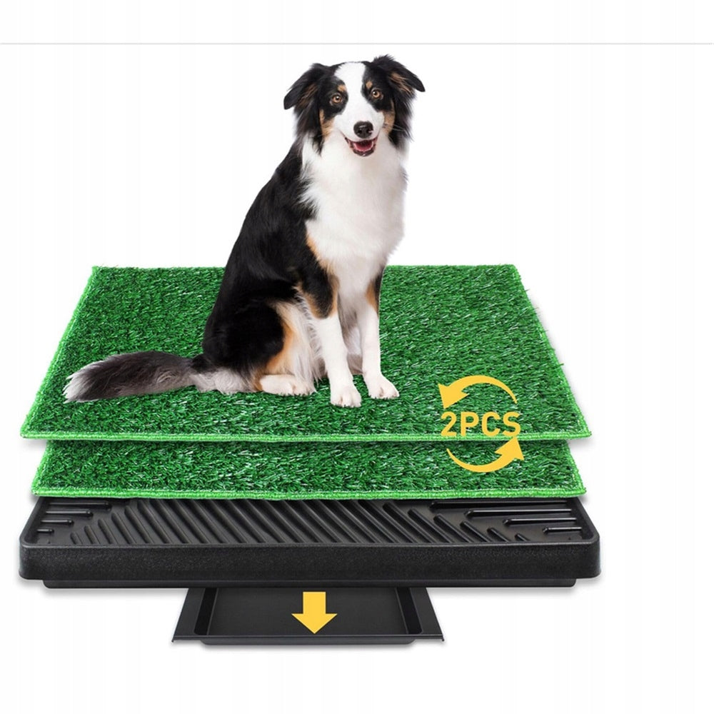 ARTIFICIAL GRASS SUBSTRATE UNIVERSAL FOR HOME AND APARTMENT Packaging status original