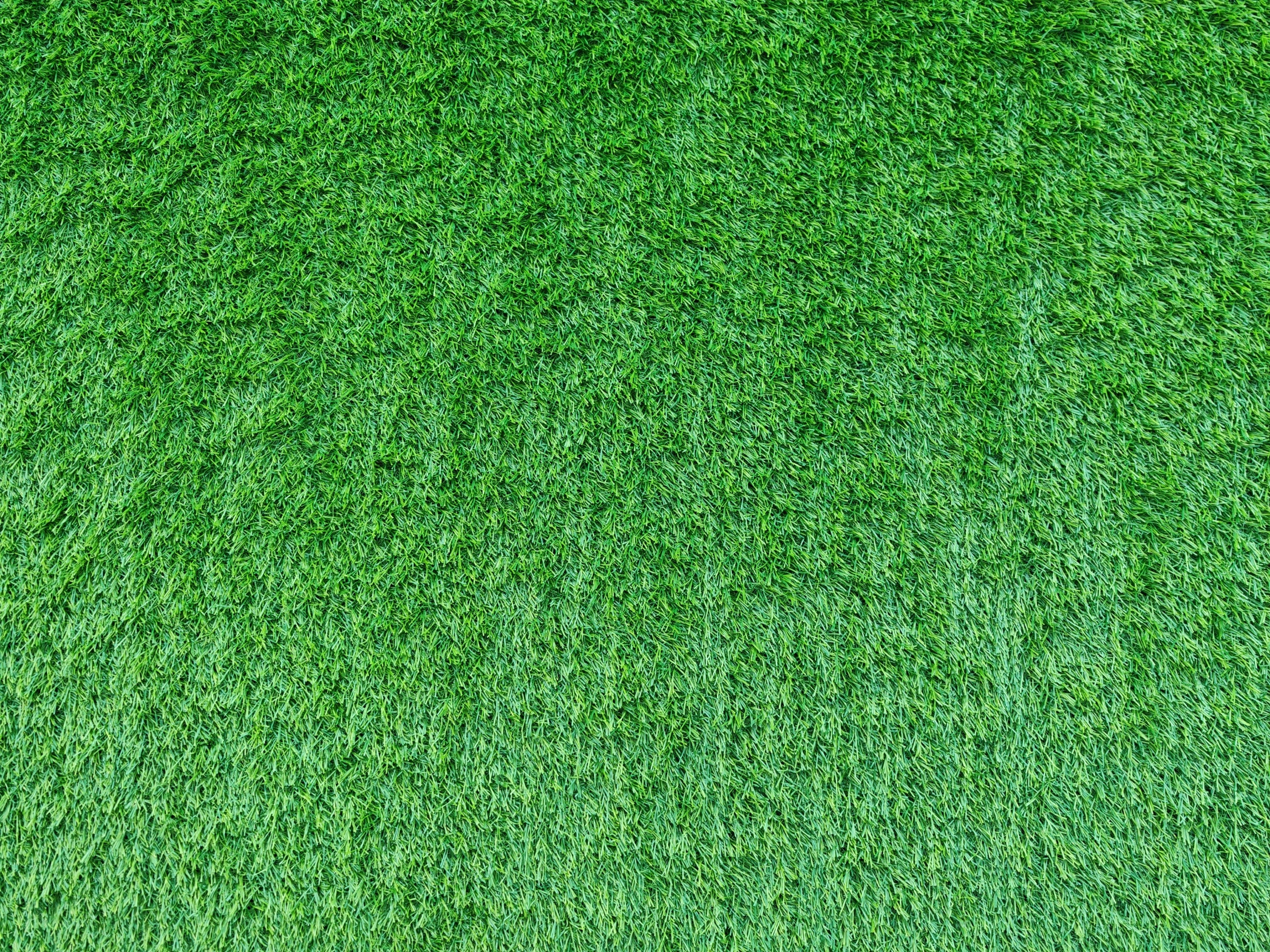 ARTIFICIAL GRASS TF 20mm Terrace Court Balcony Soft Durable Green Width 3m Manufacturer code Trawa Sztuczna