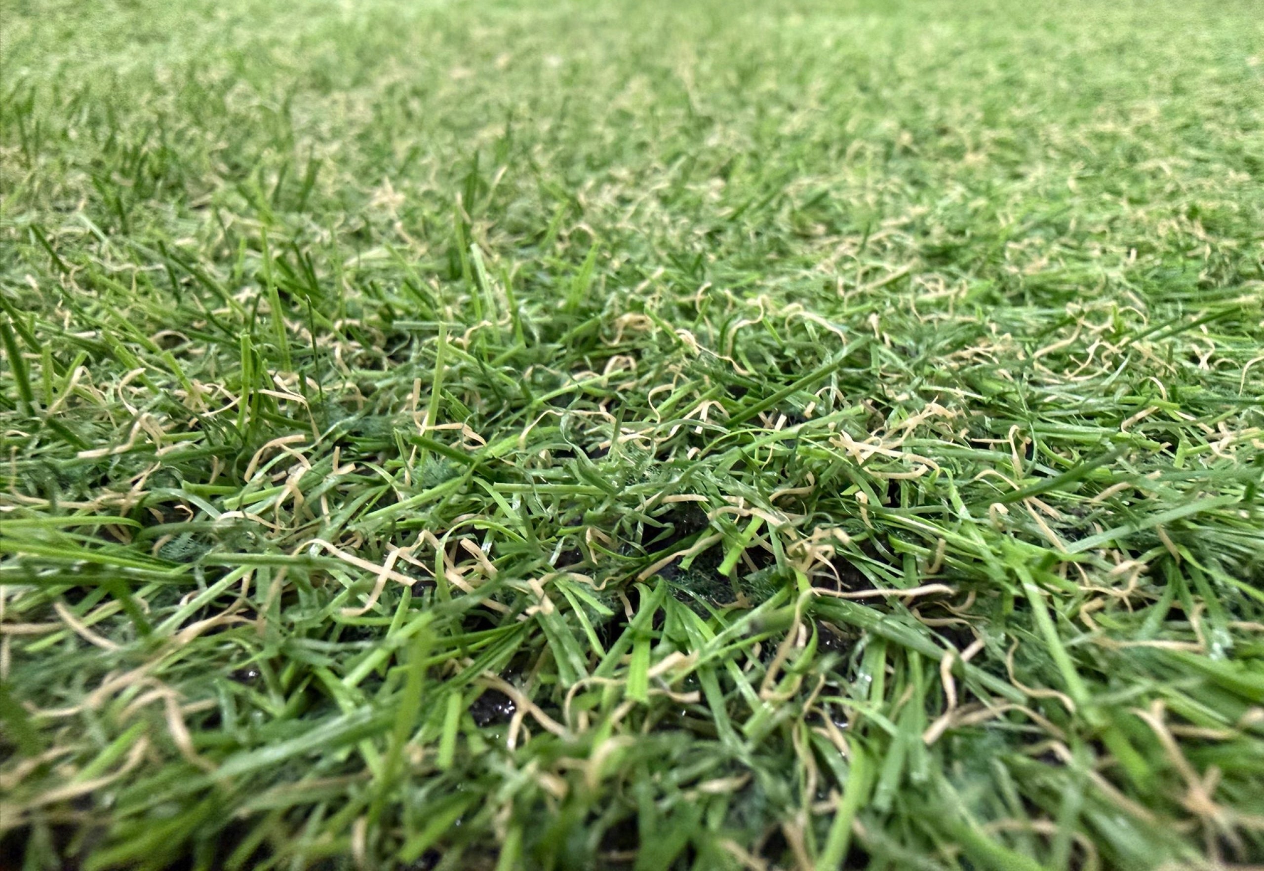 ARTIFICIAL GRASS VERDE FOR BALCONY READY PIECE THICK PREMIUM 100X200CM 20MM Packaging status original