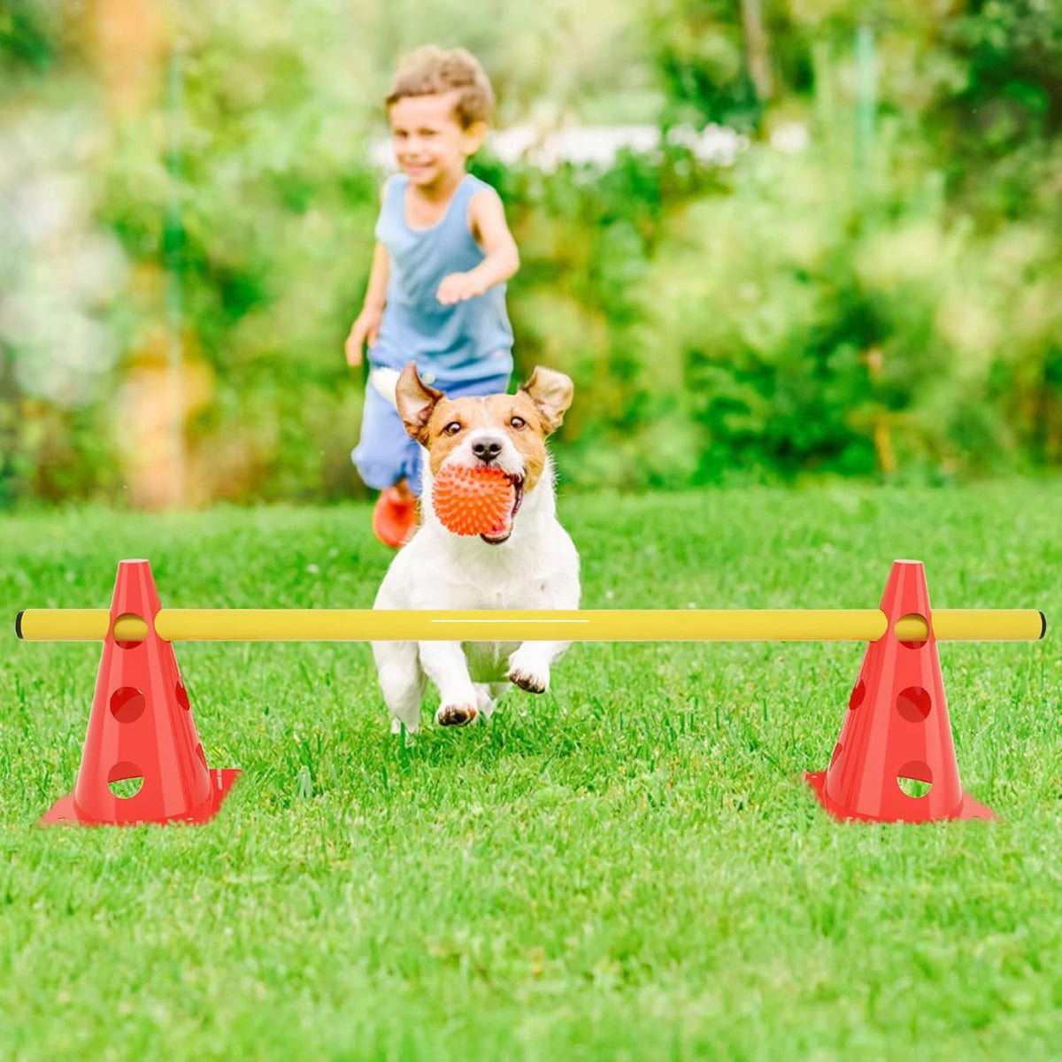 Agility Dog Obstacle Set for Kids, Jumping Track for Dogs Brand no brand