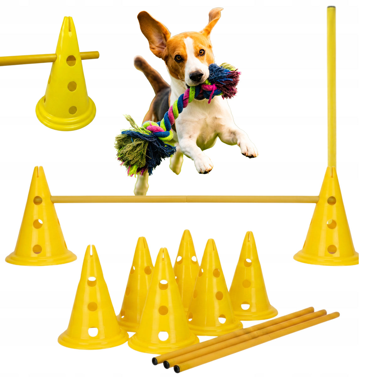 Agility obstacles for dog cones 32 cm poles dog training DOG training