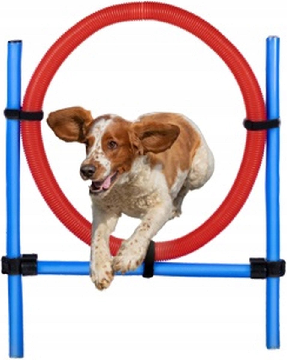 Agility ring for dogs obstacles to train dogs JUMPING TRAINING Packaging status original