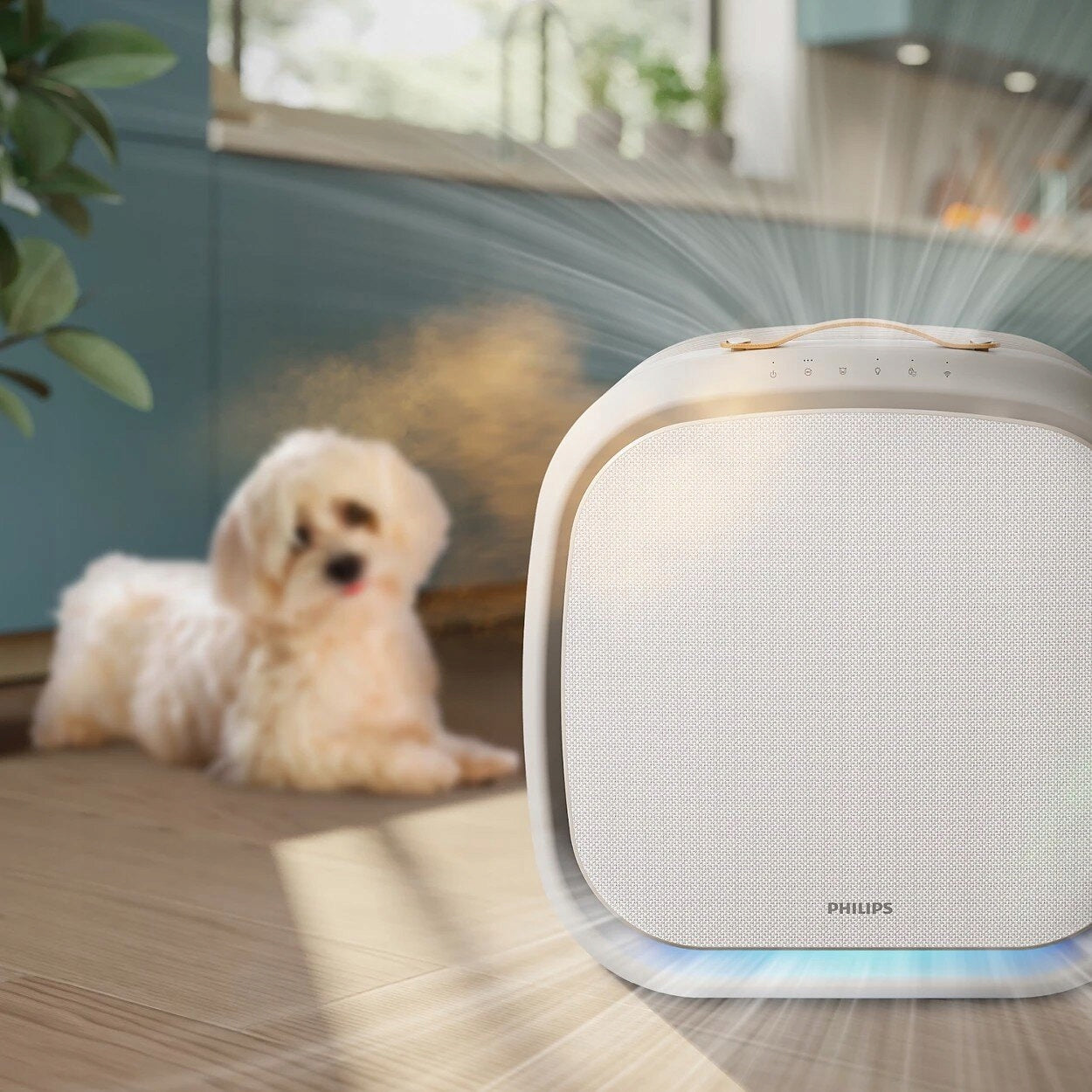 Air purifier PHILIPS AC3360/11 Wi-Fi AeraSense Model AC3360-11