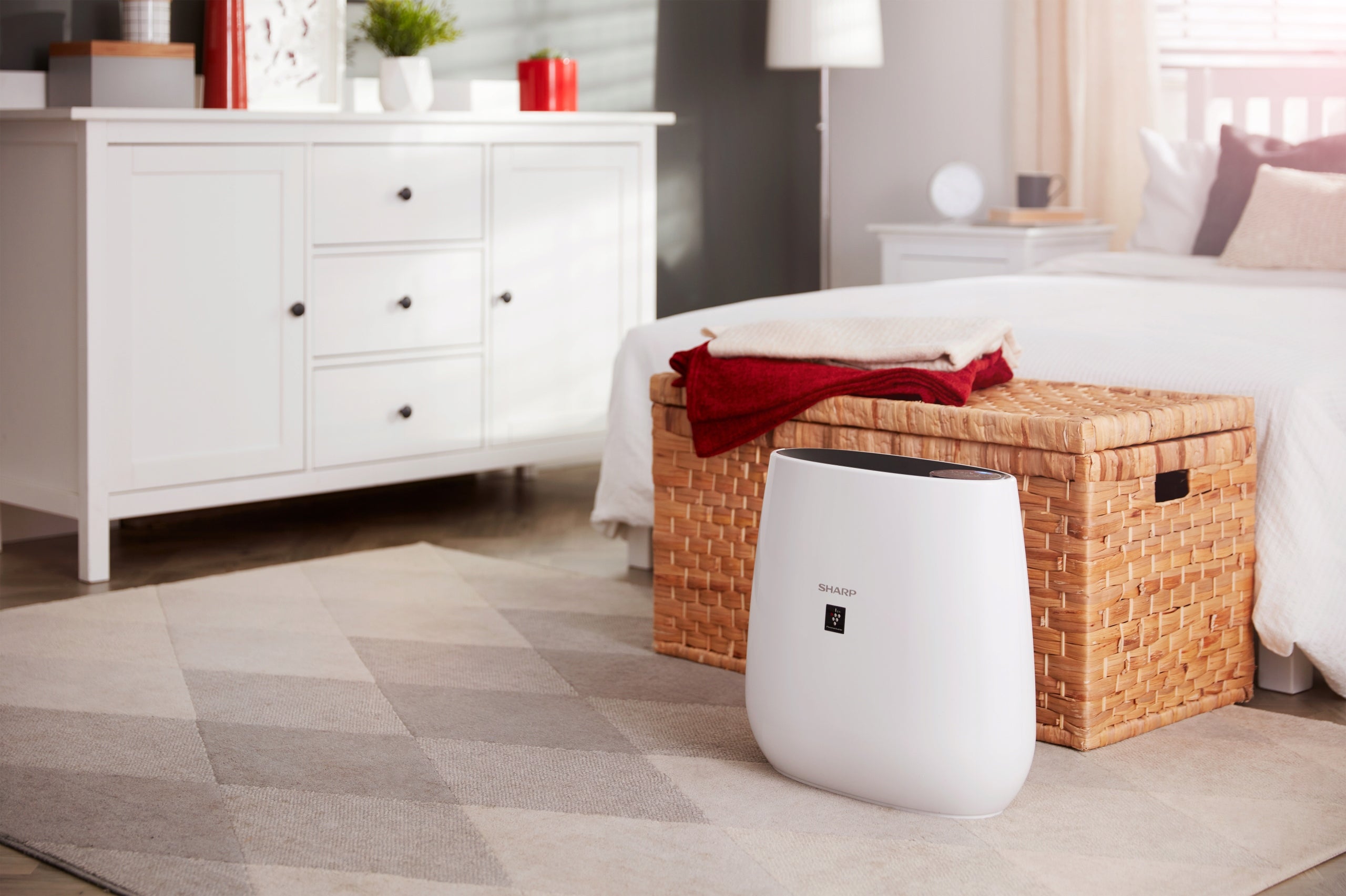 Air purifier Sharp FP-J30EU-B + ionizer Model FP-J30EUB