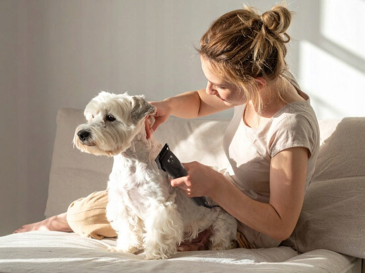 Animal Cat Hair Clipper Quiet Dog Cat MZ210 Eldom Manufacturer code MZ210