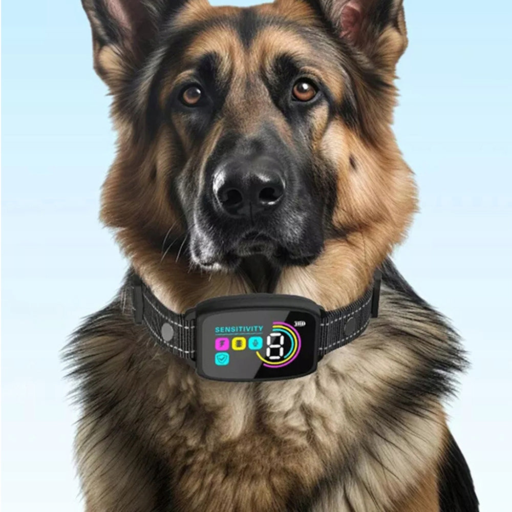 Anti Bark Automatic With Adjustable Sensitivity And Charging Usb Packaging status original