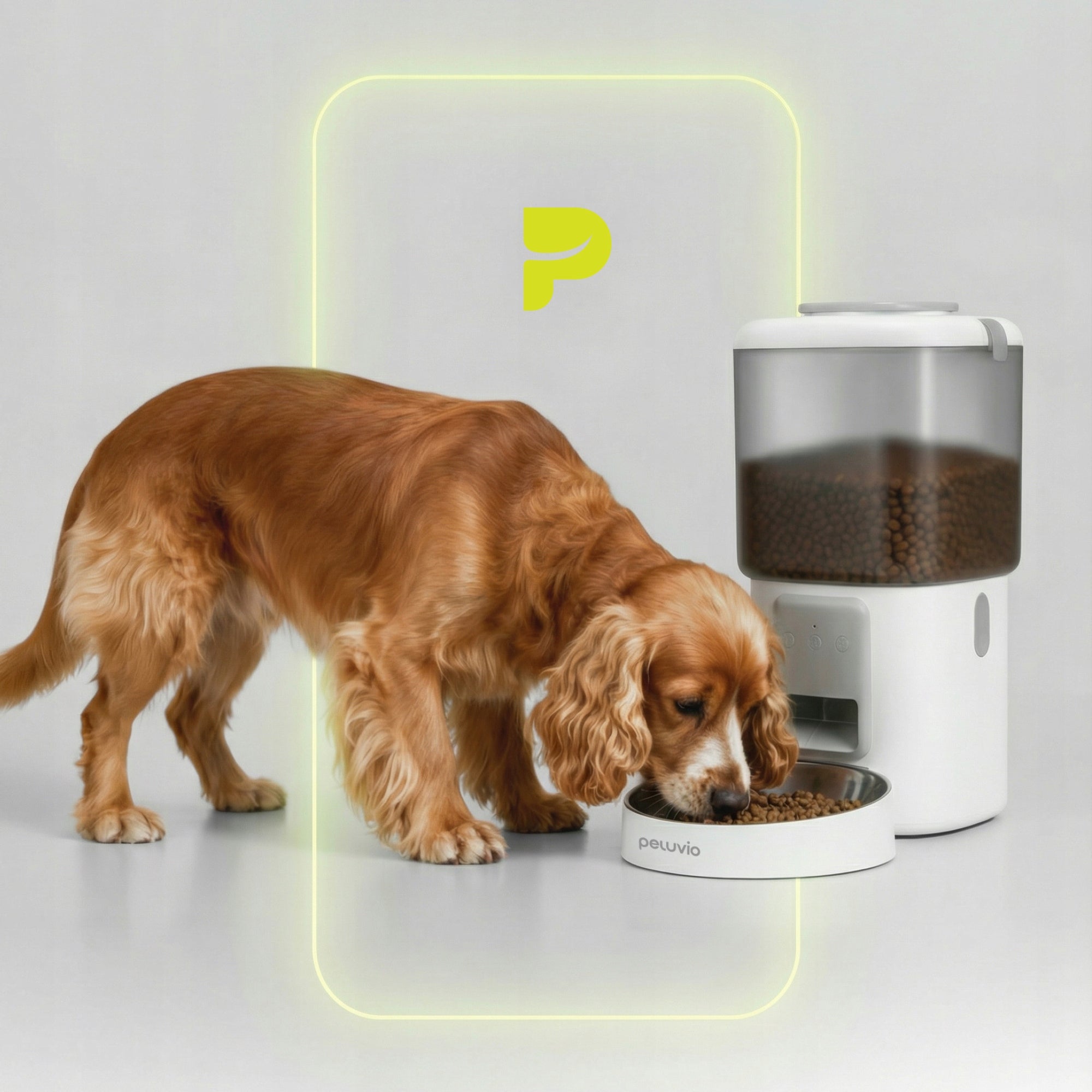 Automatic feeder dog food dispenser 4,5L WI-FI Peluvio Crispy Packaging status original