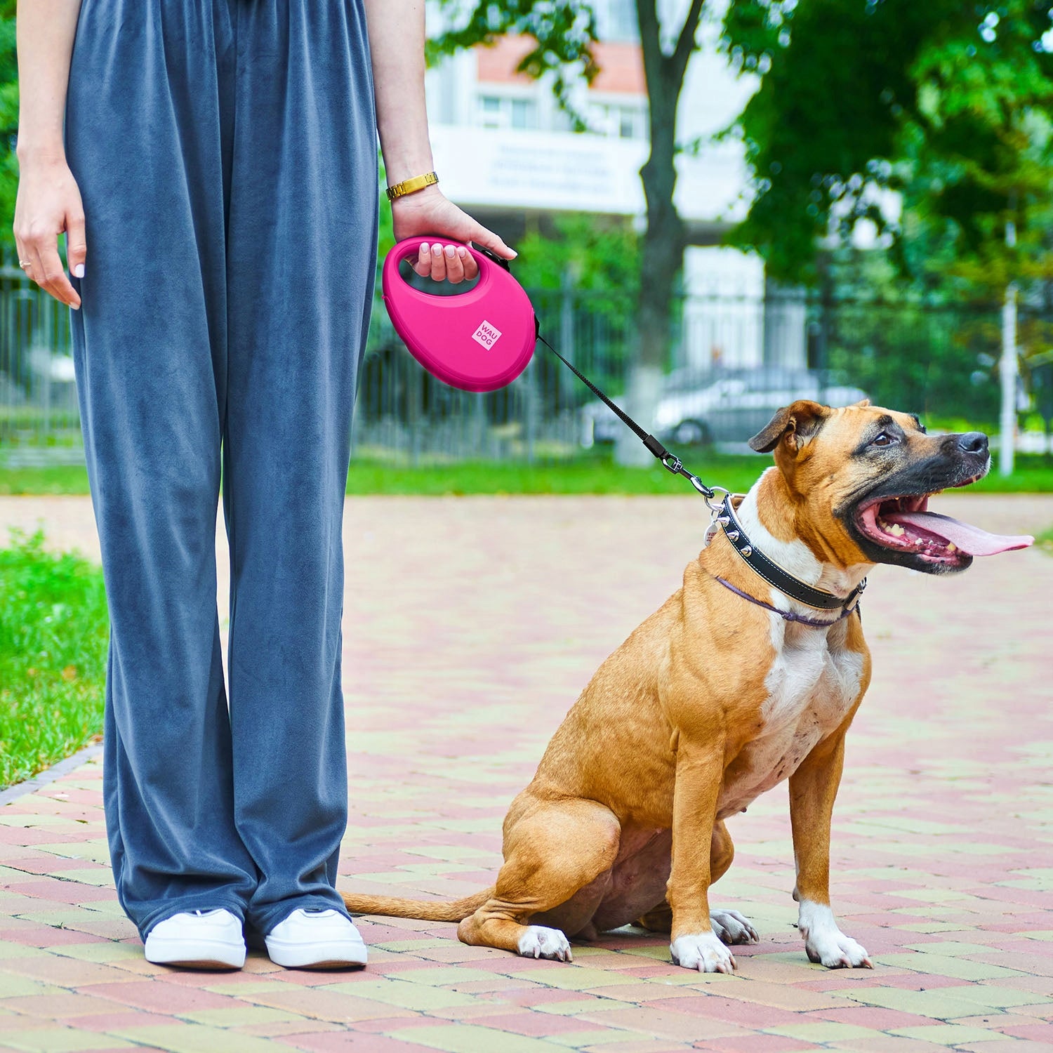 Automatic reflective dog leash with pouch container, M up to 20 kg Packaging status original