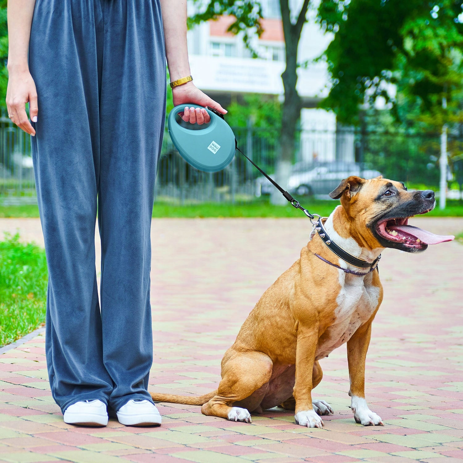 Automatic reflective dog leash with pouch container, S up to 12 kg EAN (GTIN) 4823089360379