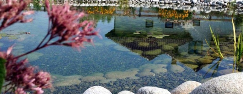 BACTERIA FOR POND WATER 100G BIO-CONCENTRATE 20M3 Manufacturer code 119092
