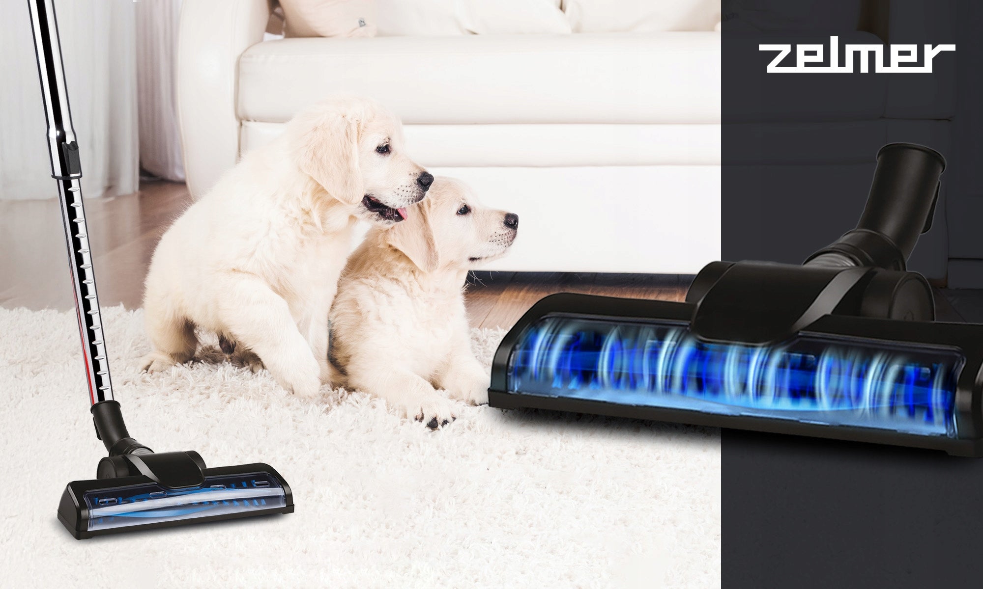 BAGGED VACUUM CLEANER ZELMER KUBA TRADITIONAL WITH FILTER HEPA TURBO BRUSH 650W Vacuum cleaner type bag