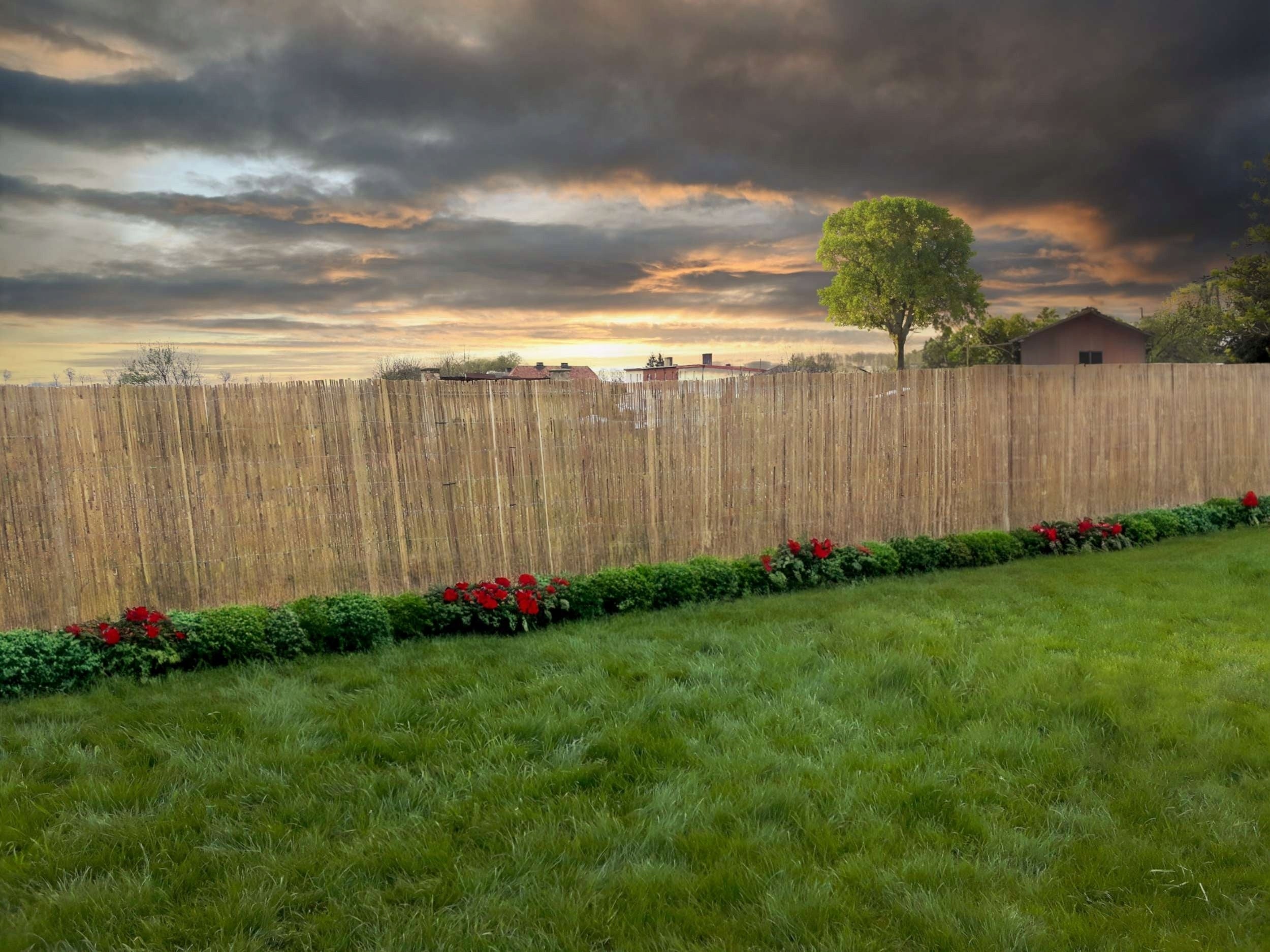 BAMBOO PROTECTION MAT BAMBOO COVER FOR FENCE 1.8x5 m Manufacturer code 5902340308783