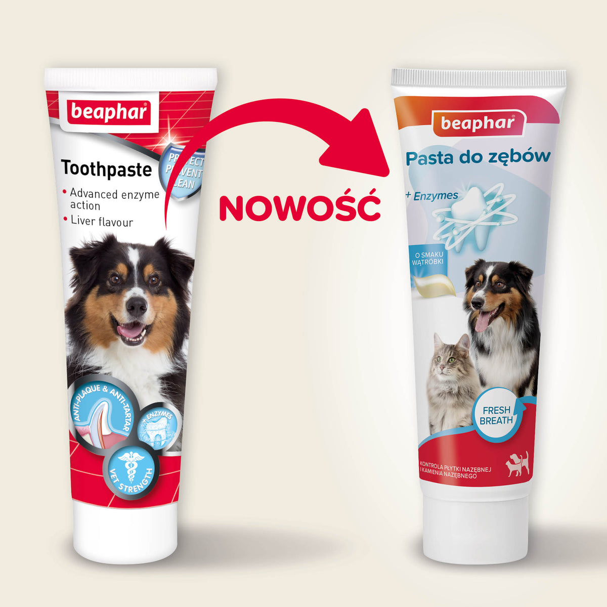 BEAPHAR Liver Flavoured Toothpaste for Dogs and Cats 100 g Number of pieces in the set 1 pcs
