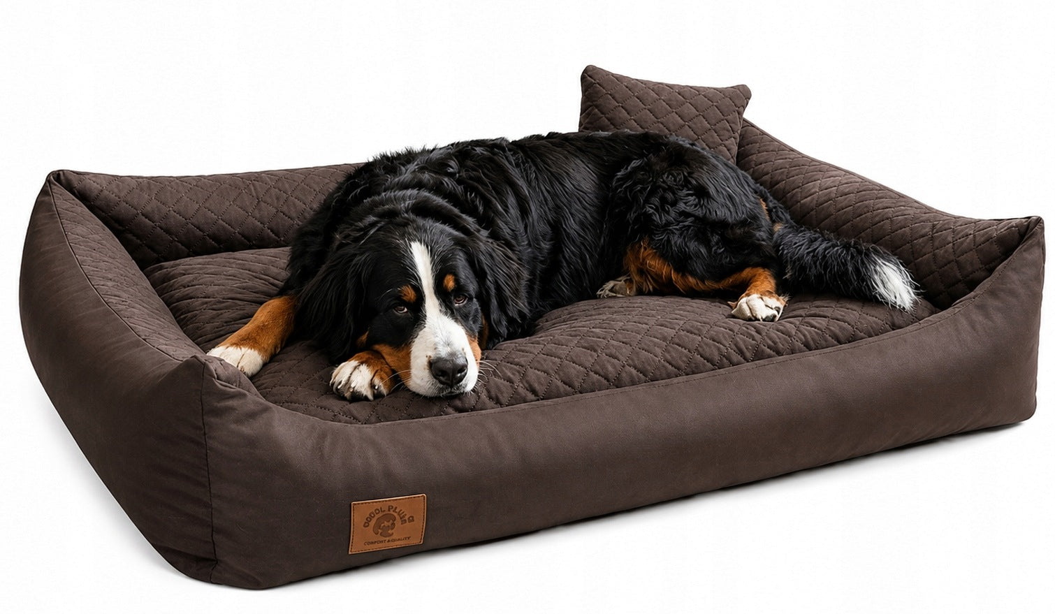 BED COUCH DOG BED 120 x 80 + PILLOW