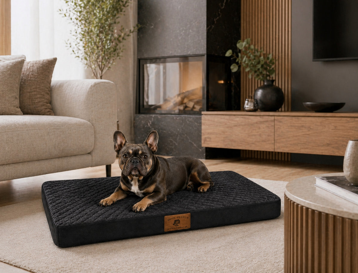 BED MATTRESS PSA 80x60x7cm. LARGE BED L - Quilted MAT GRAPHITE Manufacturer code LEG-MAT-80-GRAFIT