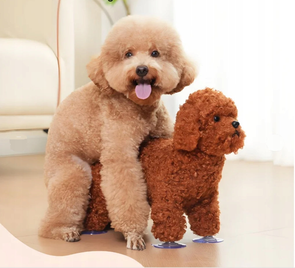 BEHAVIORAL TOY FOR THE DOG SUPPORT DURING HEAT AND STRONG STIMULATION S Brand no brand