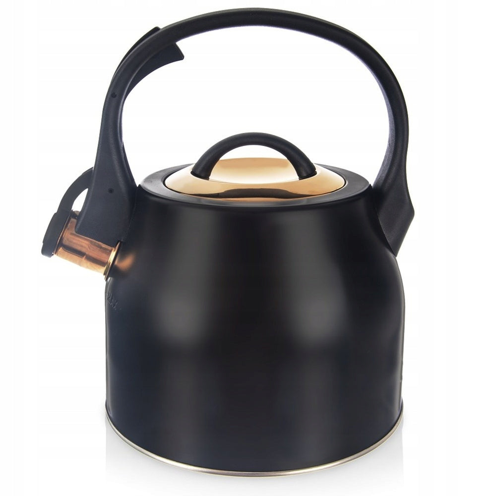BLACK GOLD steel kettle with a whistle for boiling water on the stove Packaging status original