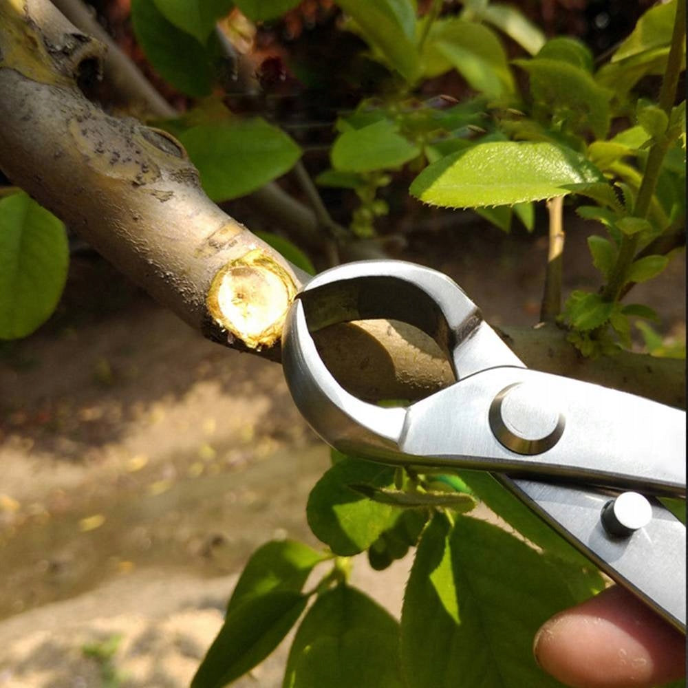 BONSAI TICKS FOR KNOT CUTTING 180mm Power supply handheld