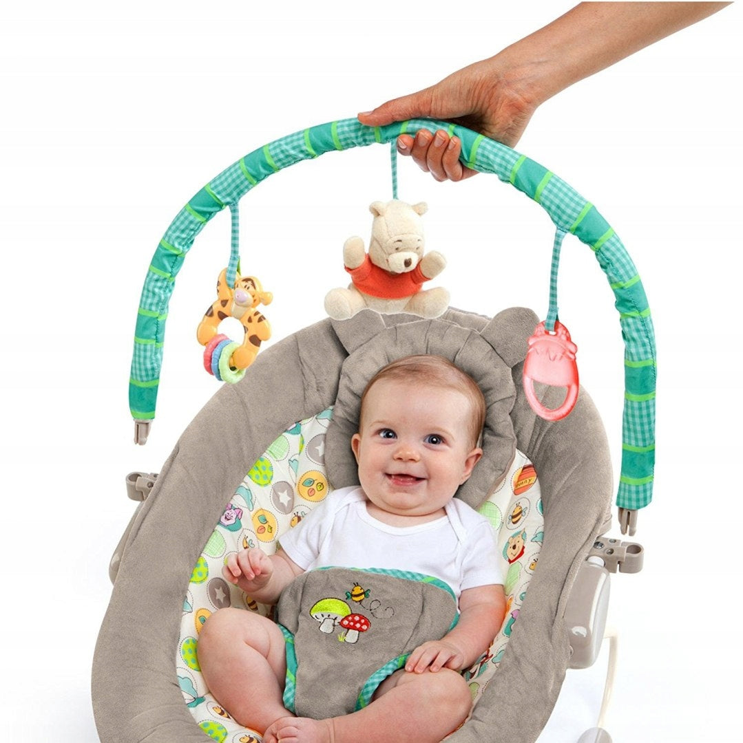 BRIGHT STARTS DECKCHAIR Disney Winnie the Pooh Brand Bright Starts